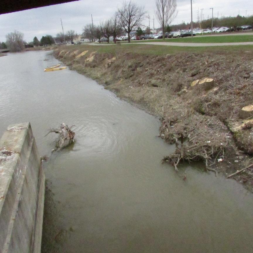 Trees have already been removed a portion of the Flint River in preparation for the dredging operation.JPG
