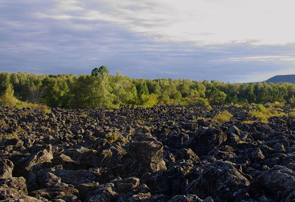 Soil restoration