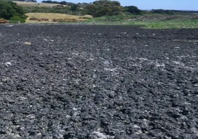 plan for sludge treatment.png