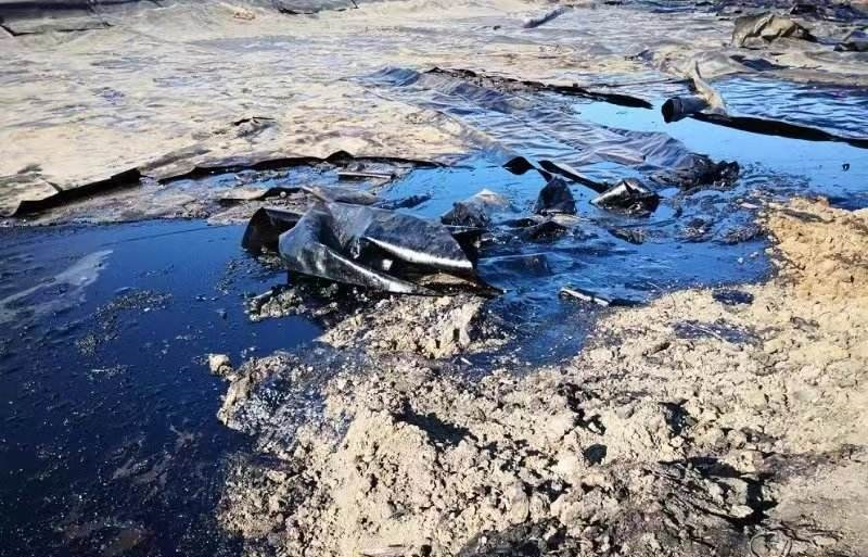 2412121733968254686329.png 002.png